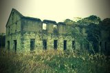 FxCam_1291091130401.jpg