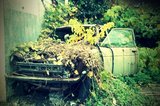 FxCam_1291100640902.jpg
