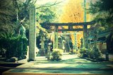 FxCam_1291173675858.jpg