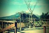 FxCam_1291957306914.jpg