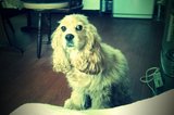 FxCam_1292389540138.jpg